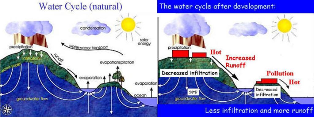 Water Cycle